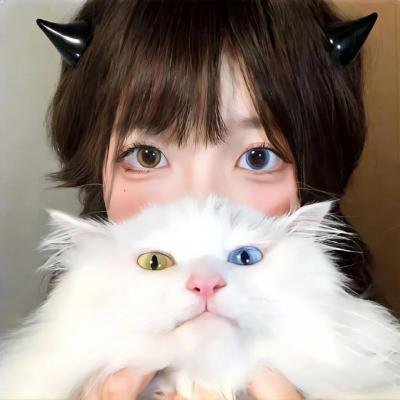 神经刀与飞天猫